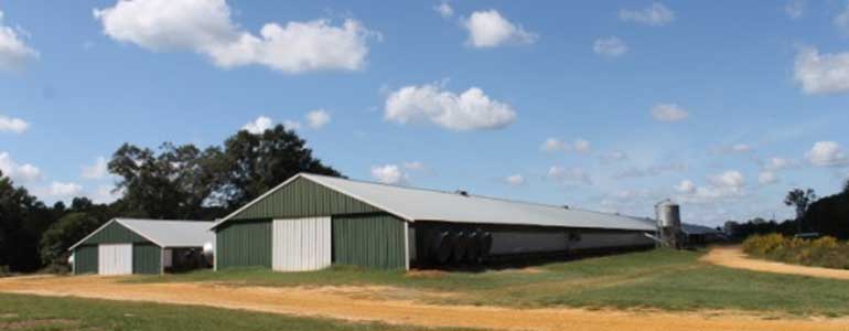 Arkansas Poultry insurance coverage